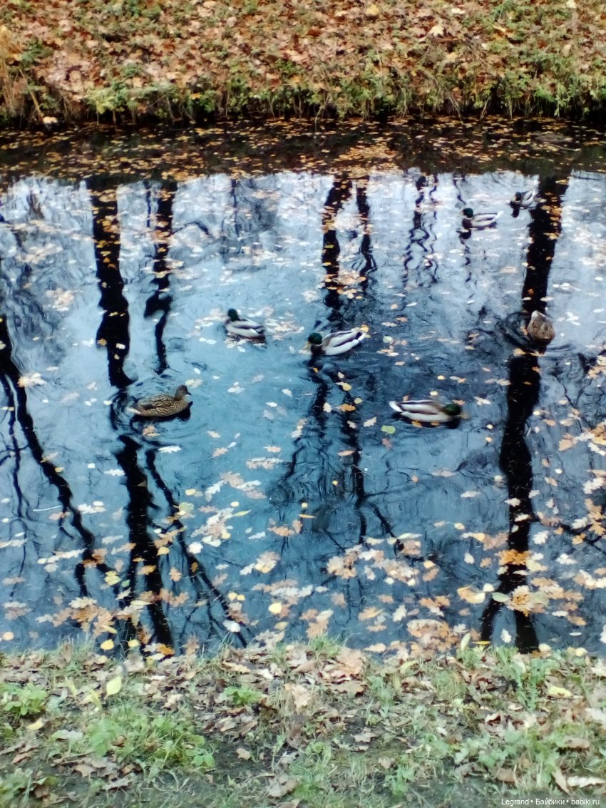 Петербург. Мармарис в Оранжерее Таврического сада. Часть вторая