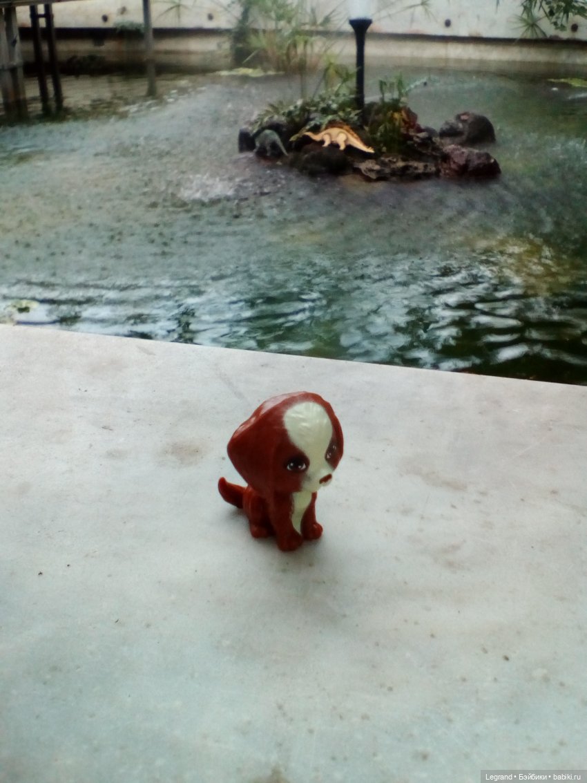 Петербург. Мармарис в Оранжерее Таврического сада. Часть вторая (фото 6)