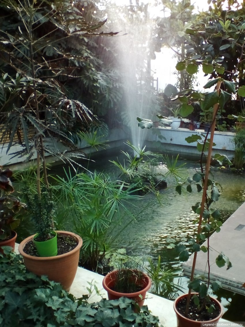 Петербург. Мармарис в Оранжерее Таврического сада. Часть первая