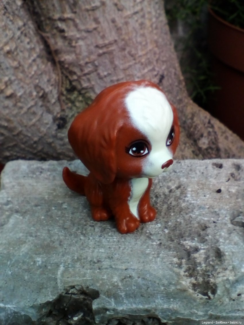 Петербург. Мармарис в Оранжерее Таврического сада. Часть вторая (фото 10)