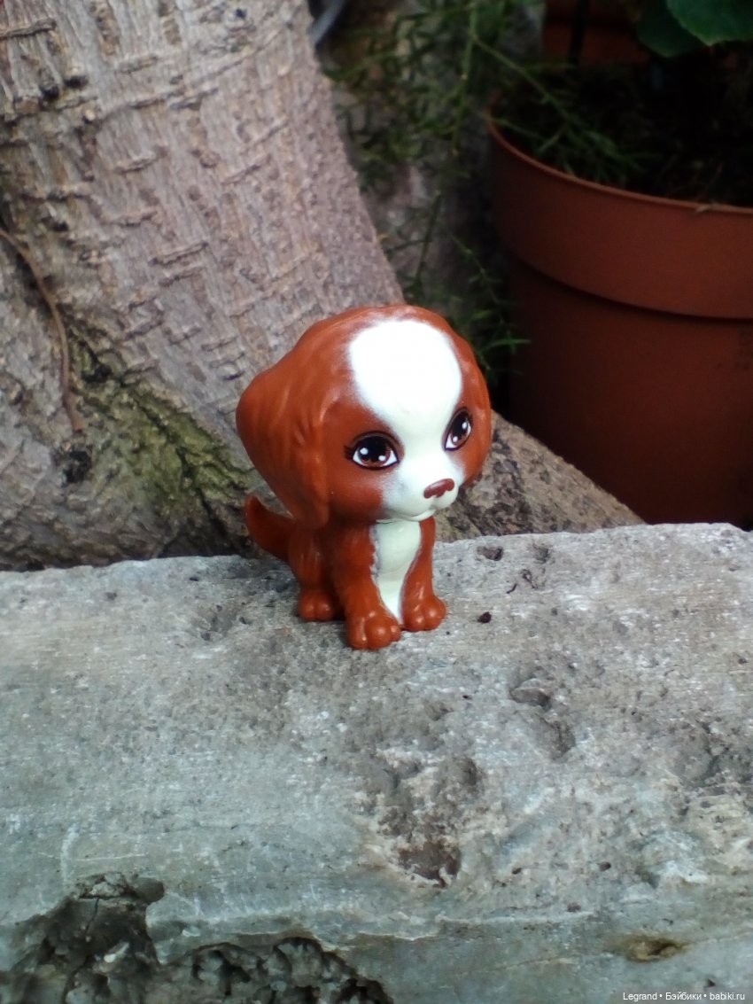 Петербург. Мармарис в Оранжерее Таврического сада. Часть вторая (фото 8)