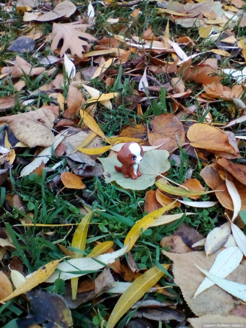 Петербург. Мармарис в Оранжерее Таврического сада. Часть вторая