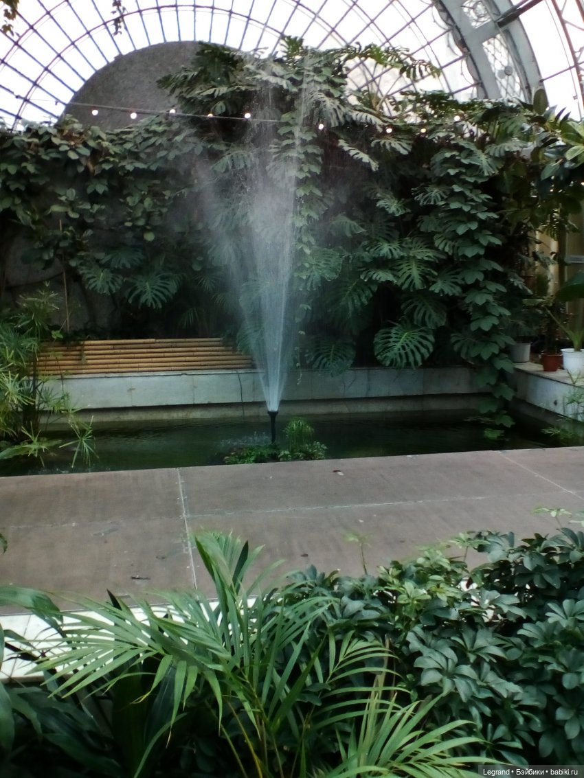 Петербург. Мармарис в Оранжерее Таврического сада. Часть вторая (фото 3)