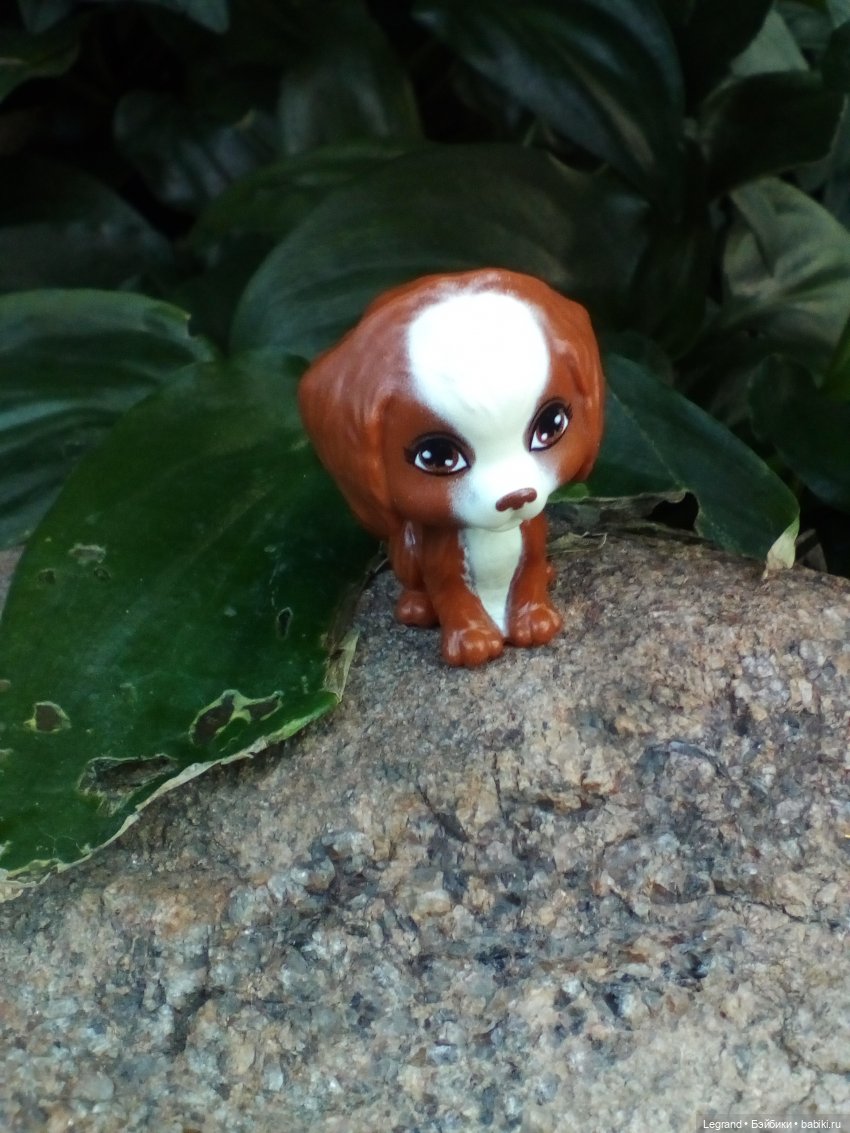 Петербург. Мармарис в Оранжерее Таврического сада. Часть первая