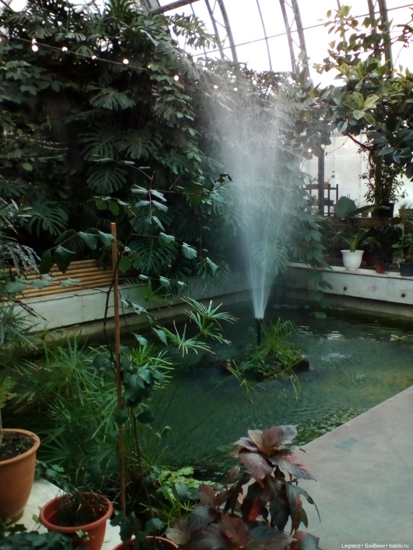 Петербург. Мармарис в Оранжерее Таврического сада. Часть вторая (фото 4)