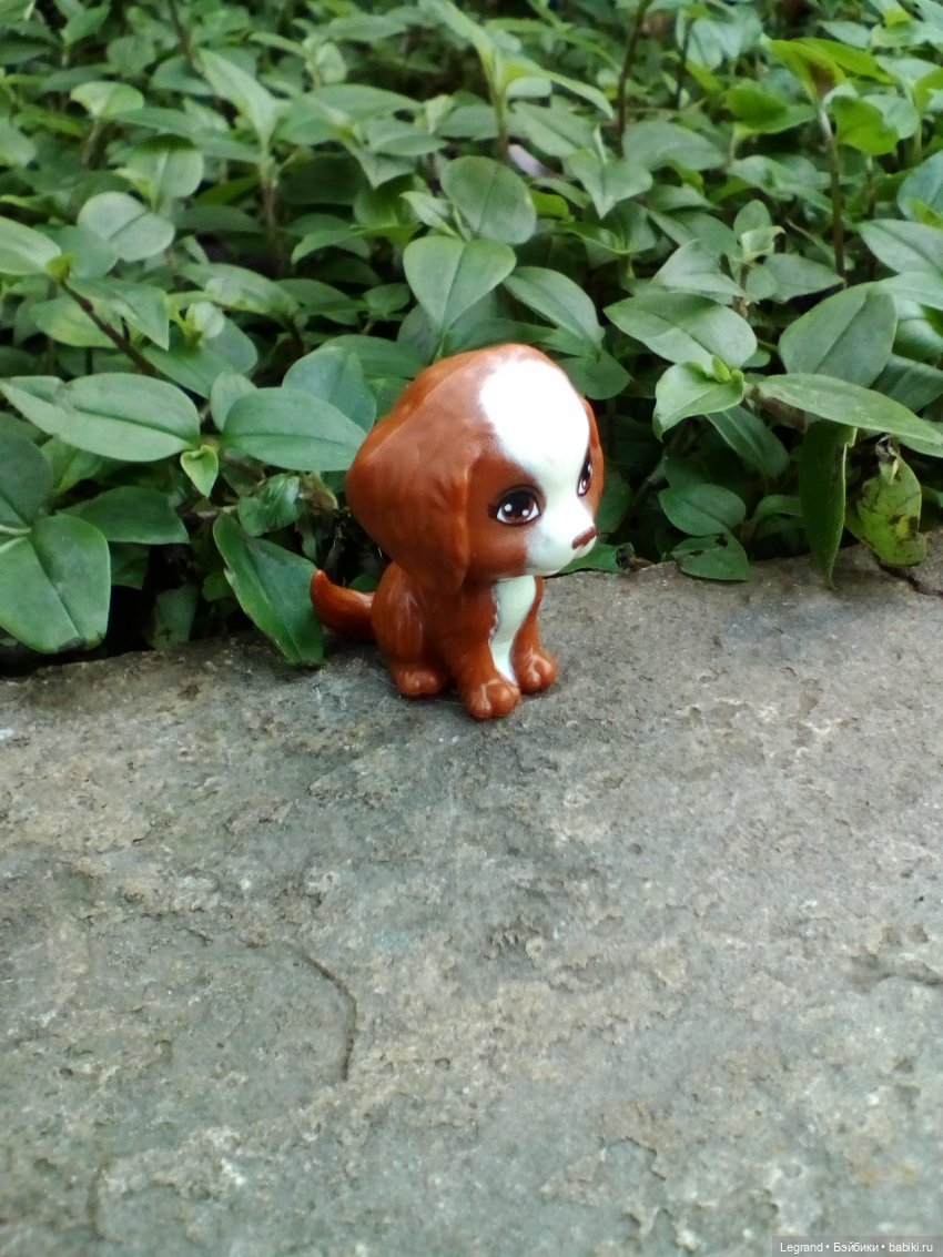 Петербург. Мармарис в Оранжерее Таврического сада. Часть вторая