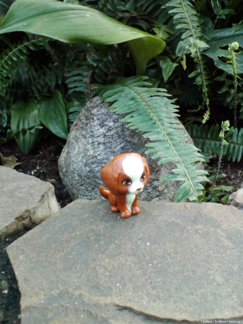 Петербург. Мармарис в Оранжерее Таврического сада. Часть первая