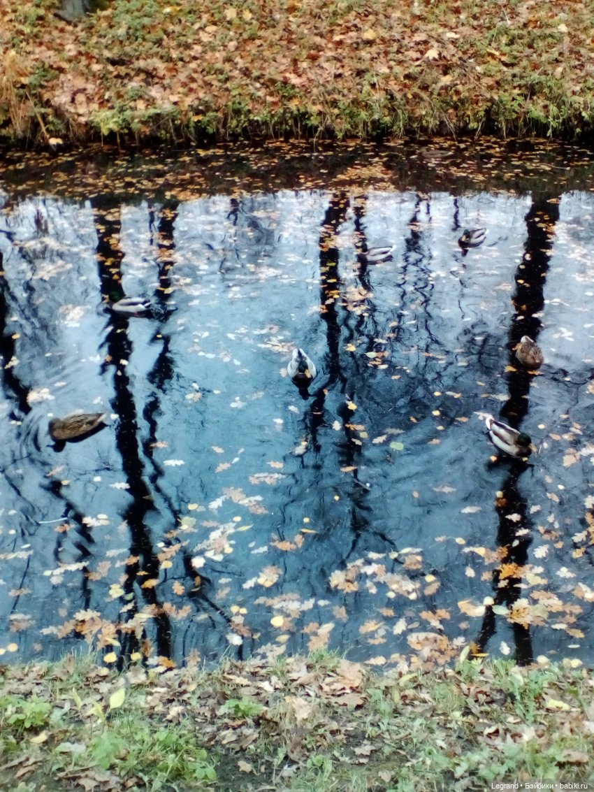 Осень - любимое время... Стихи Лестата