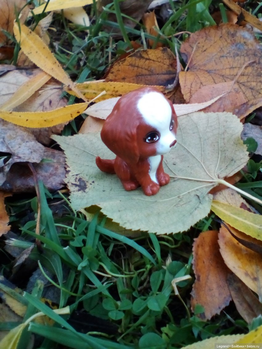 Осень - любимое время... Стихи Лестата (фото 5)