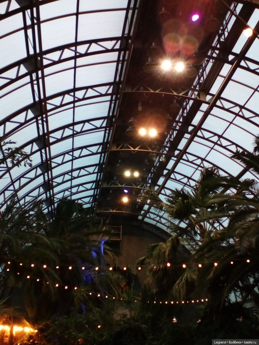 Петербург. Гюльфем и Мармарис в Оранжерее Таврического сада