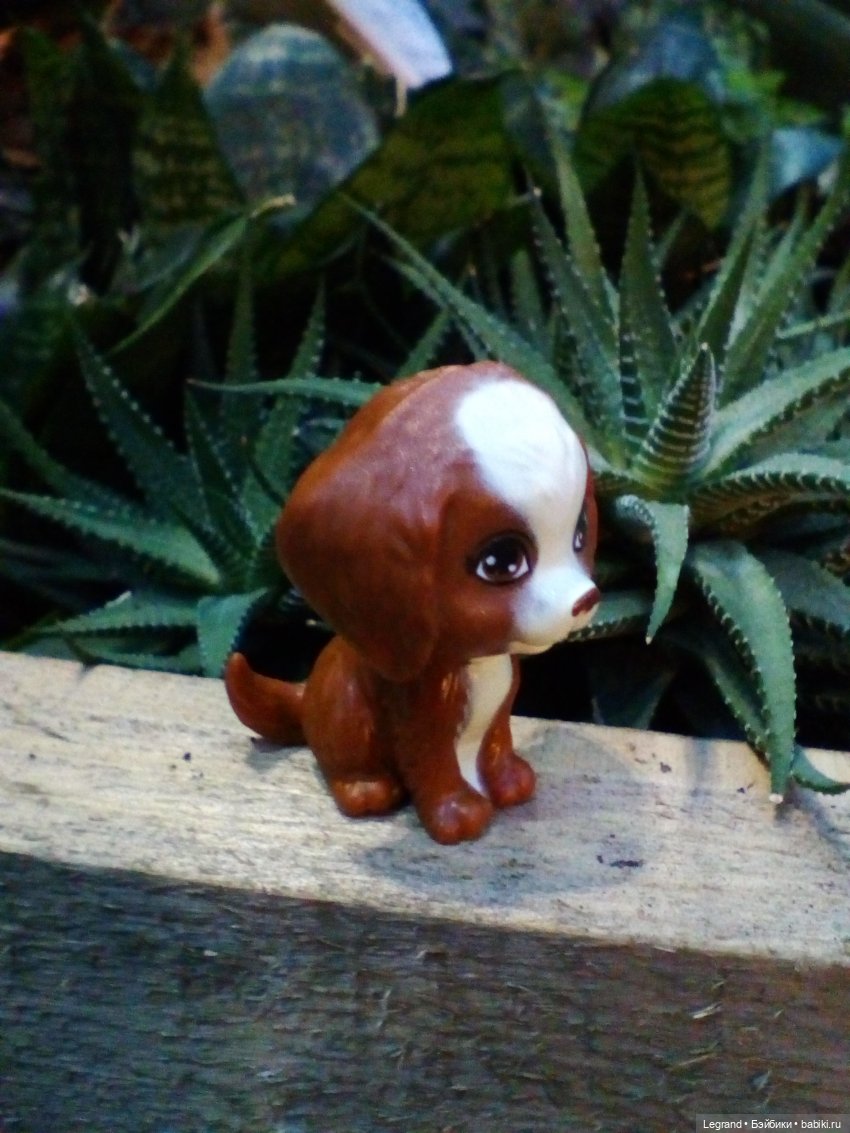 Петербург. Гюльфем и Мармарис в Оранжерее Таврического сада