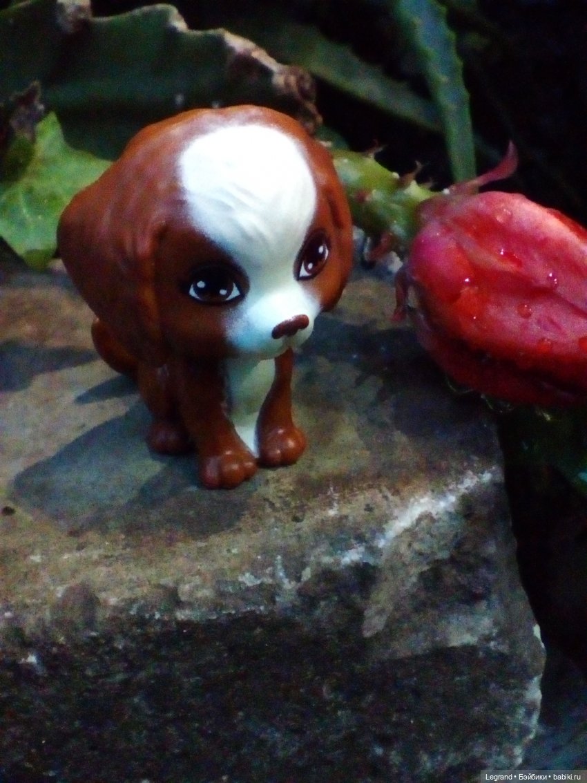 Петербург. Гюльфем и Мармарис в Оранжерее Таврического сада