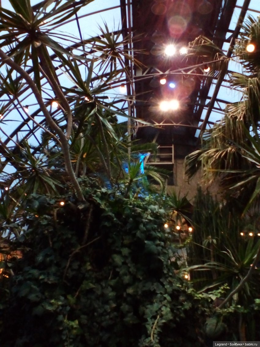 Петербург. Гюльфем и Мармарис в Оранжерее Таврического сада