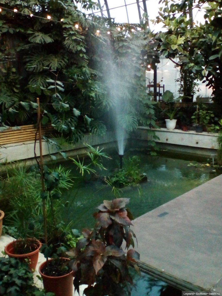 Петербург. Гюльфем и Мармарис в Оранжерее Таврического сада