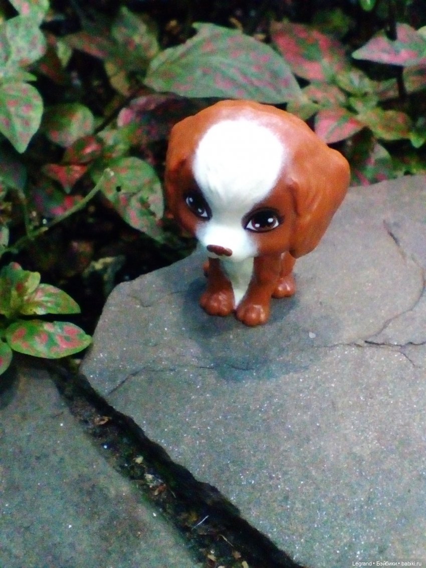 Петербург. Гюльфем и Мармарис в Оранжерее Таврического сада