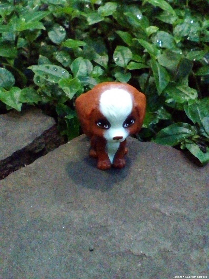 Петербург. Гюльфем и Мармарис в Оранжерее Таврического сада