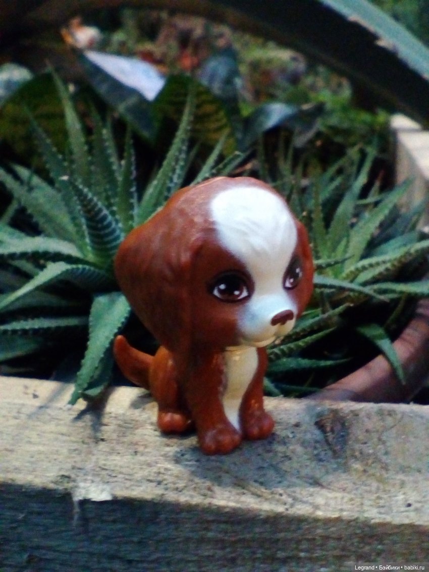 Петербург. Гюльфем и Мармарис в Оранжерее Таврического сада