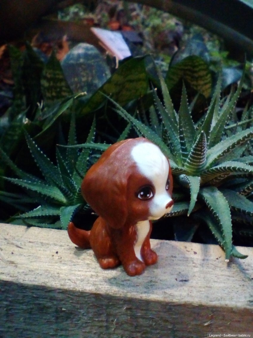 Петербург. Гюльфем и Мармарис в Оранжерее Таврического сада