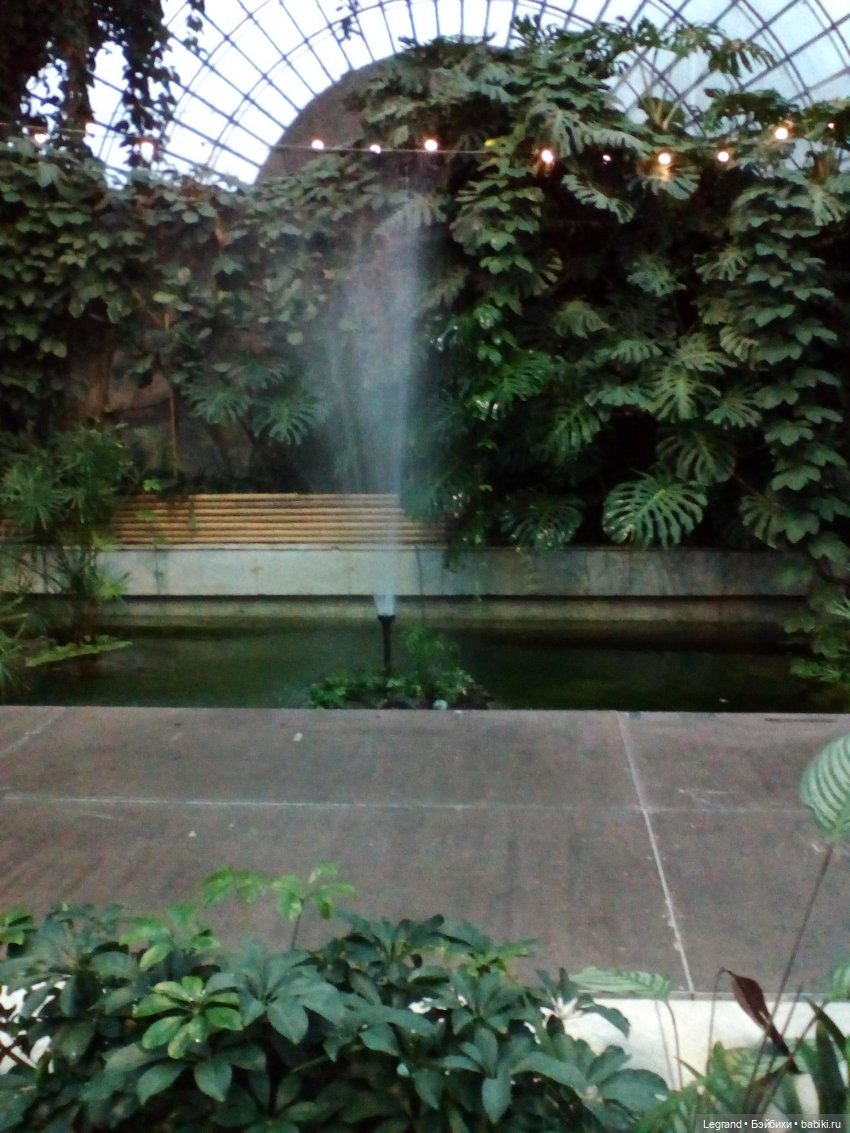 Петербург. Гюльфем и Мармарис в Оранжерее Таврического сада