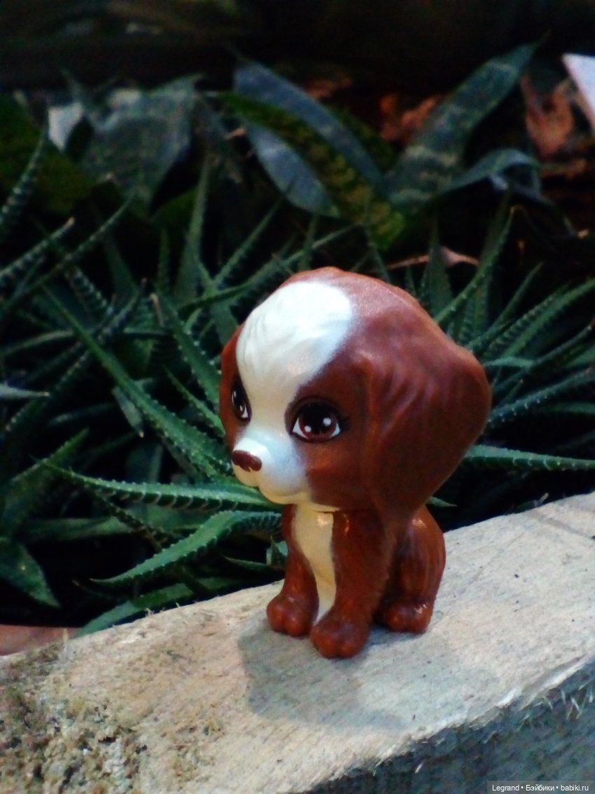 Петербург. Гюльфем и Мармарис в Оранжерее Таврического сада