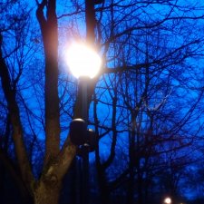 Поздний ноябрь. Период безвременья... Стихи Лестата