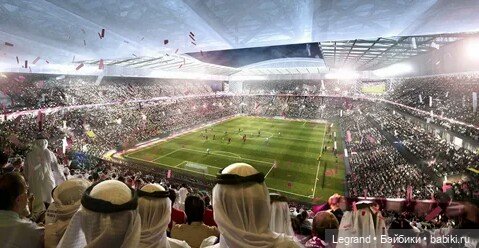 Сказки Соланж. Авокадик и чемпионат мира по футболу в Катаре