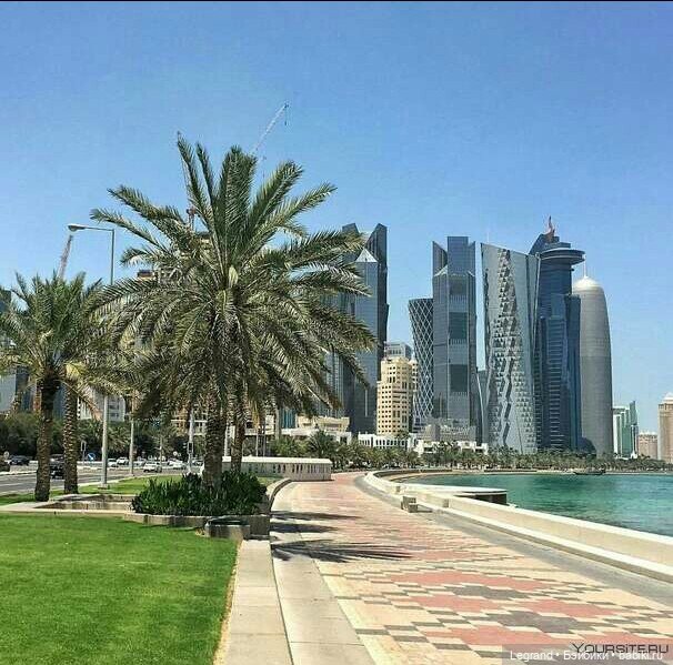 Сказки Соланж. Авокадик и чемпионат мира по футболу в Катаре