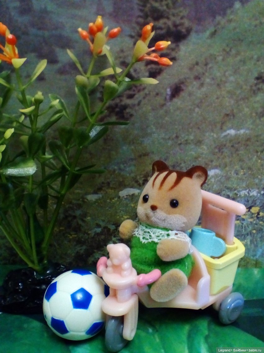 Сказки Соланж. Авокадик и чемпионат мира по футболу в Катаре