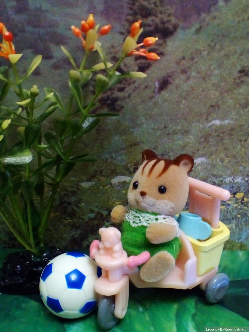 Сказки Соланж. Авокадик и чемпионат мира по футболу в Катаре