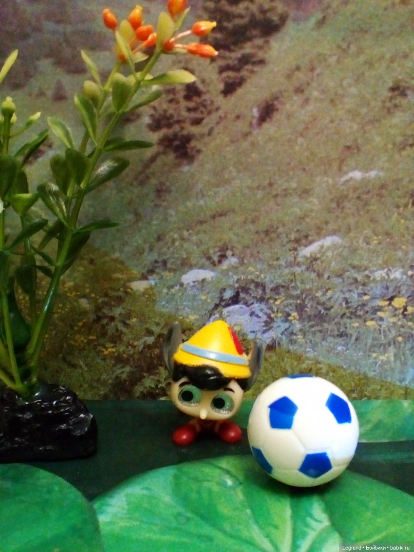 Сказки Соланж. Авокадик и чемпионат мира по футболу в Катаре