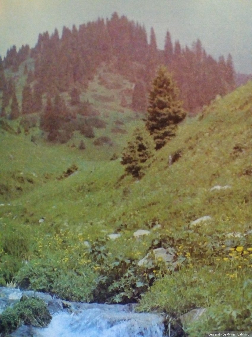 Сказки Соланж. Авокадик и чемпионат мира по футболу в Катаре