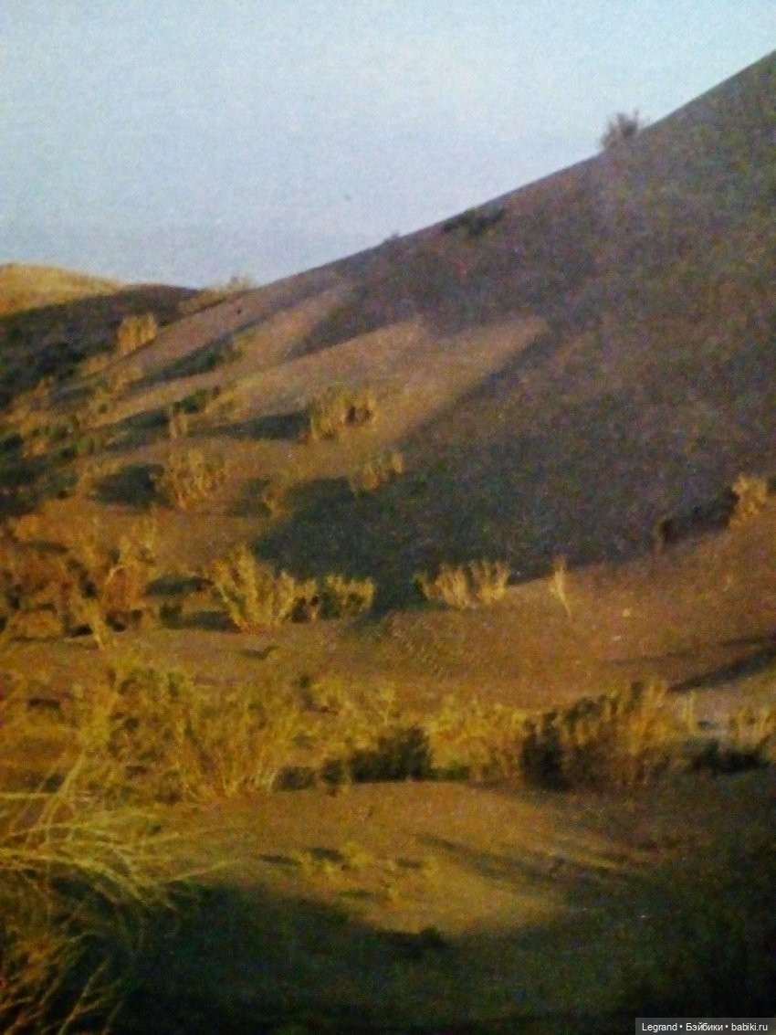 Сказки Соланж. Авокадик и чемпионат мира по футболу в Катаре