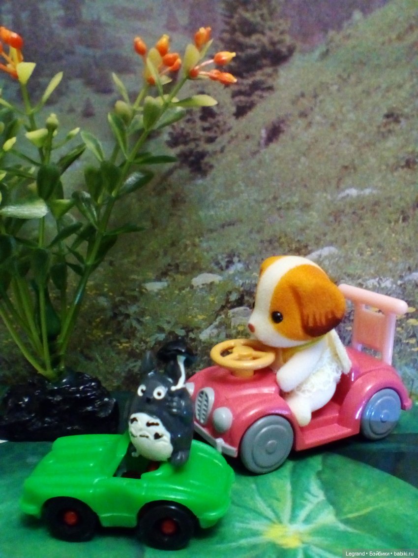 Сказки Соланж. Авокадик и чемпионат мира по футболу в Катаре (фото 7)