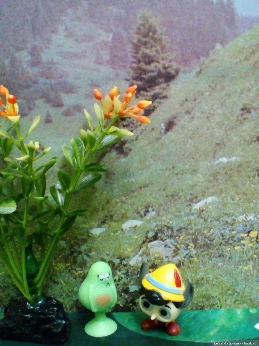 Сказки Соланж. Авокадик и чемпионат мира по футболу в Катаре