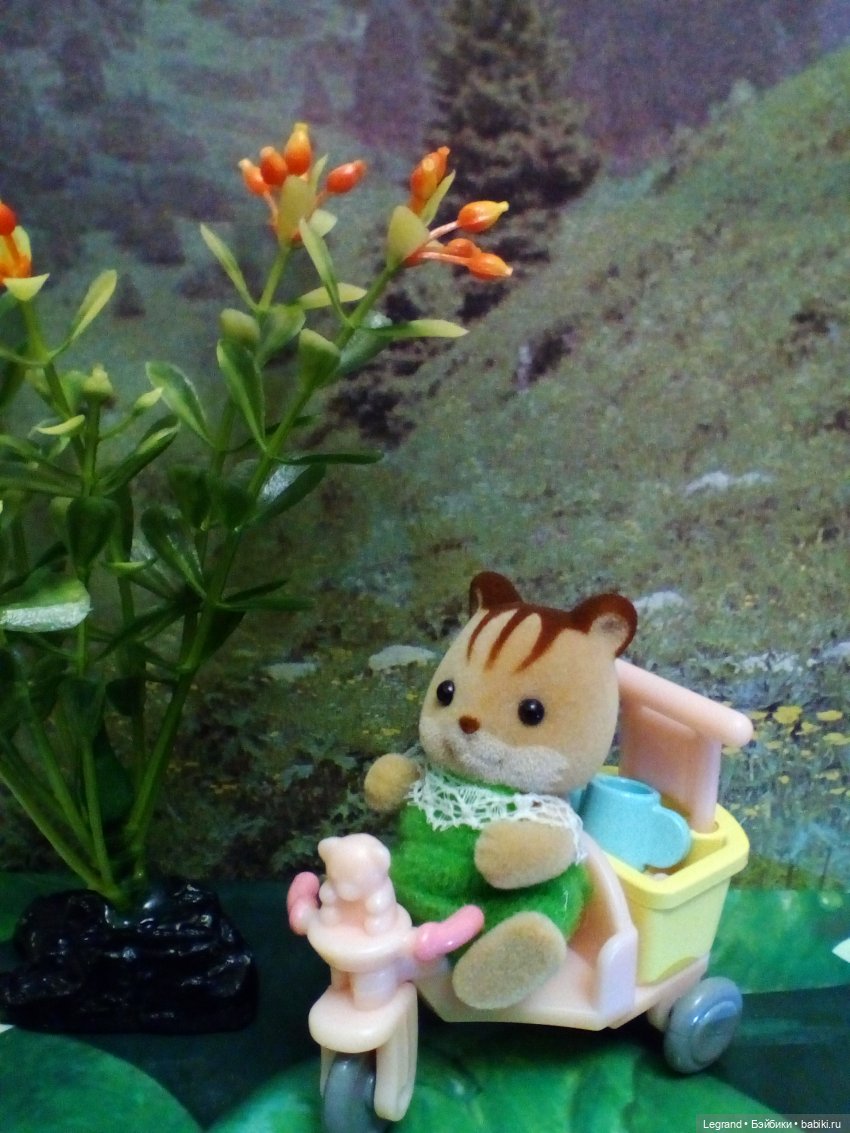 Сказки Соланж. Авокадик и чемпионат мира по футболу в Катаре