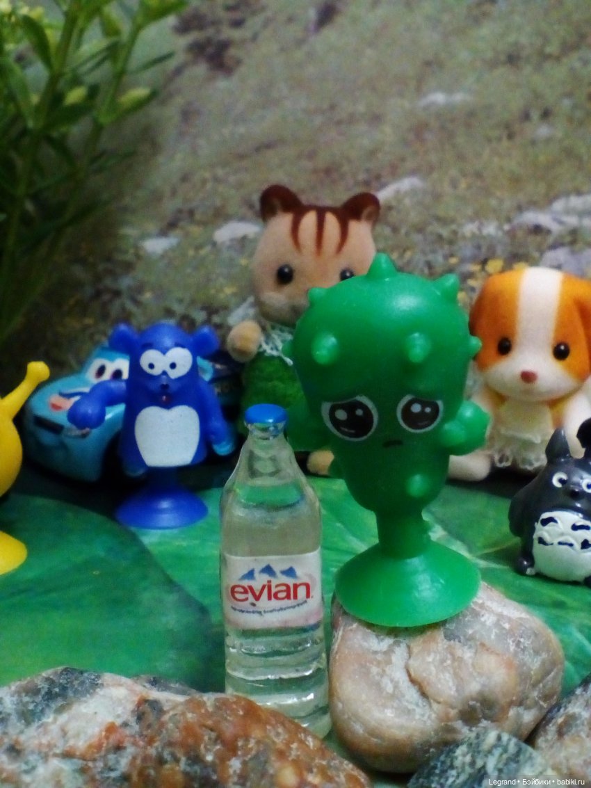 Сказки Соланж. Лесные друзья и чемпионат мира по футболу в Катаре (фото 6)