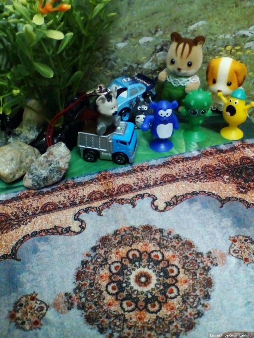 Сказки Соланж. Лесные друзья и чемпионат мира по футболу в Катаре