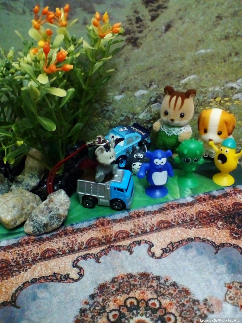 Сказки Соланж. Лесные друзья и чемпионат мира по футболу в Катаре