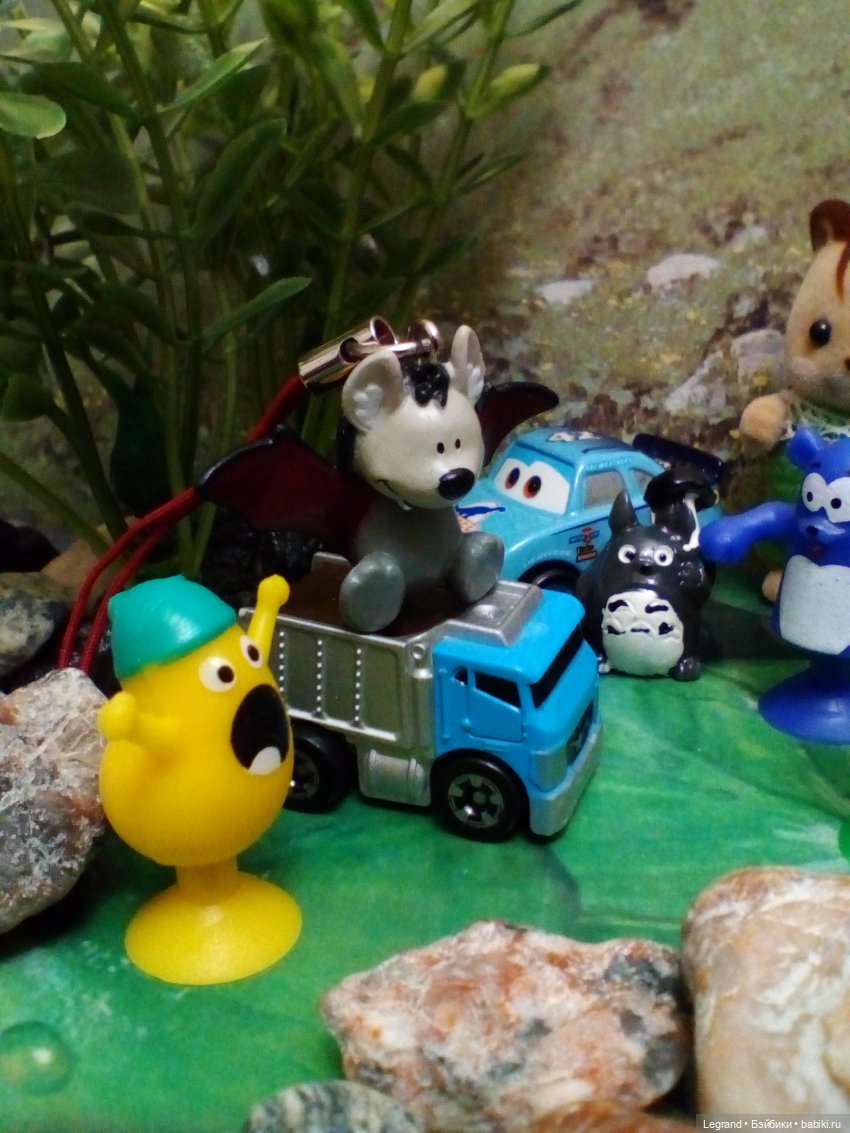 Сказки Соланж. Лесные друзья и чемпионат мира по футболу в Катаре