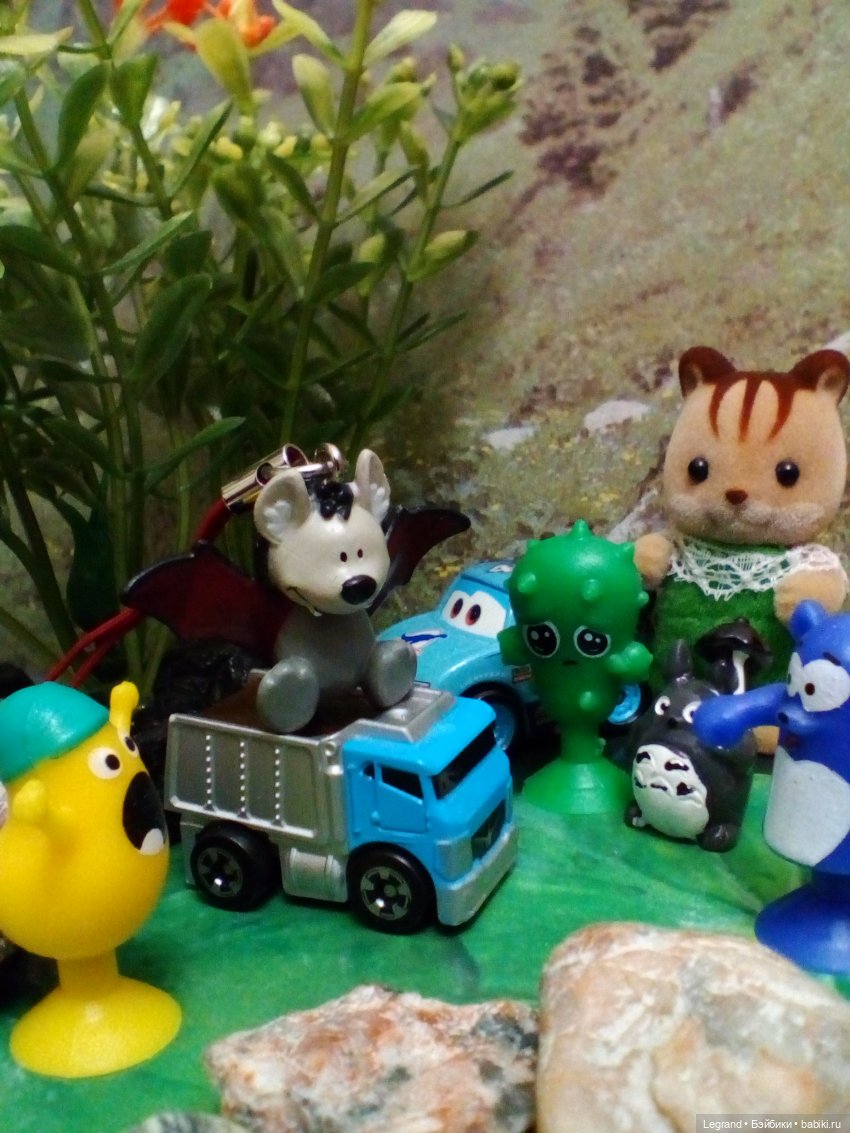 Сказки Соланж. Лесные друзья и чемпионат мира по футболу в Катаре