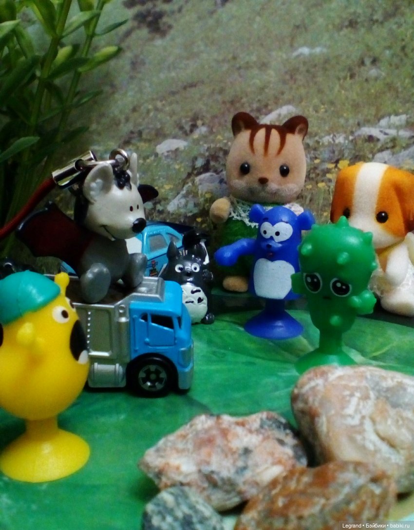 Сказки Соланж. Лесные друзья и чемпионат мира по футболу в Катаре