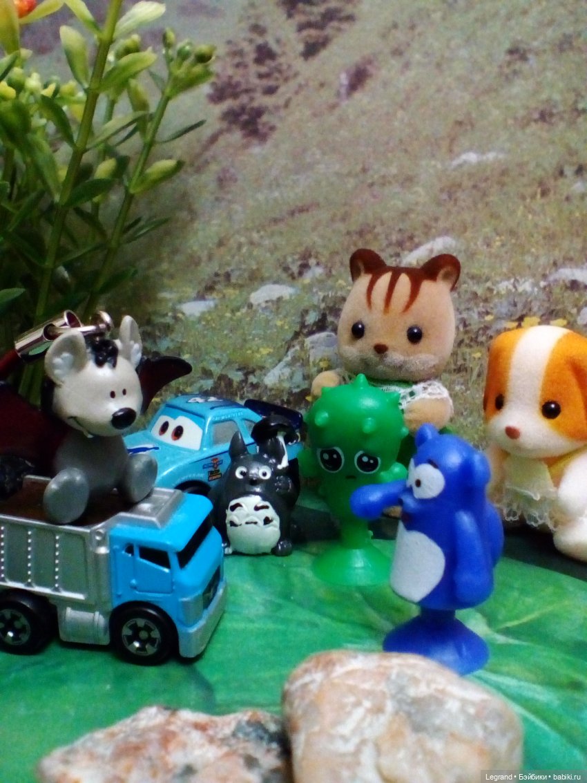 Сказки Соланж. Лесные друзья и чемпионат мира по футболу в Катаре