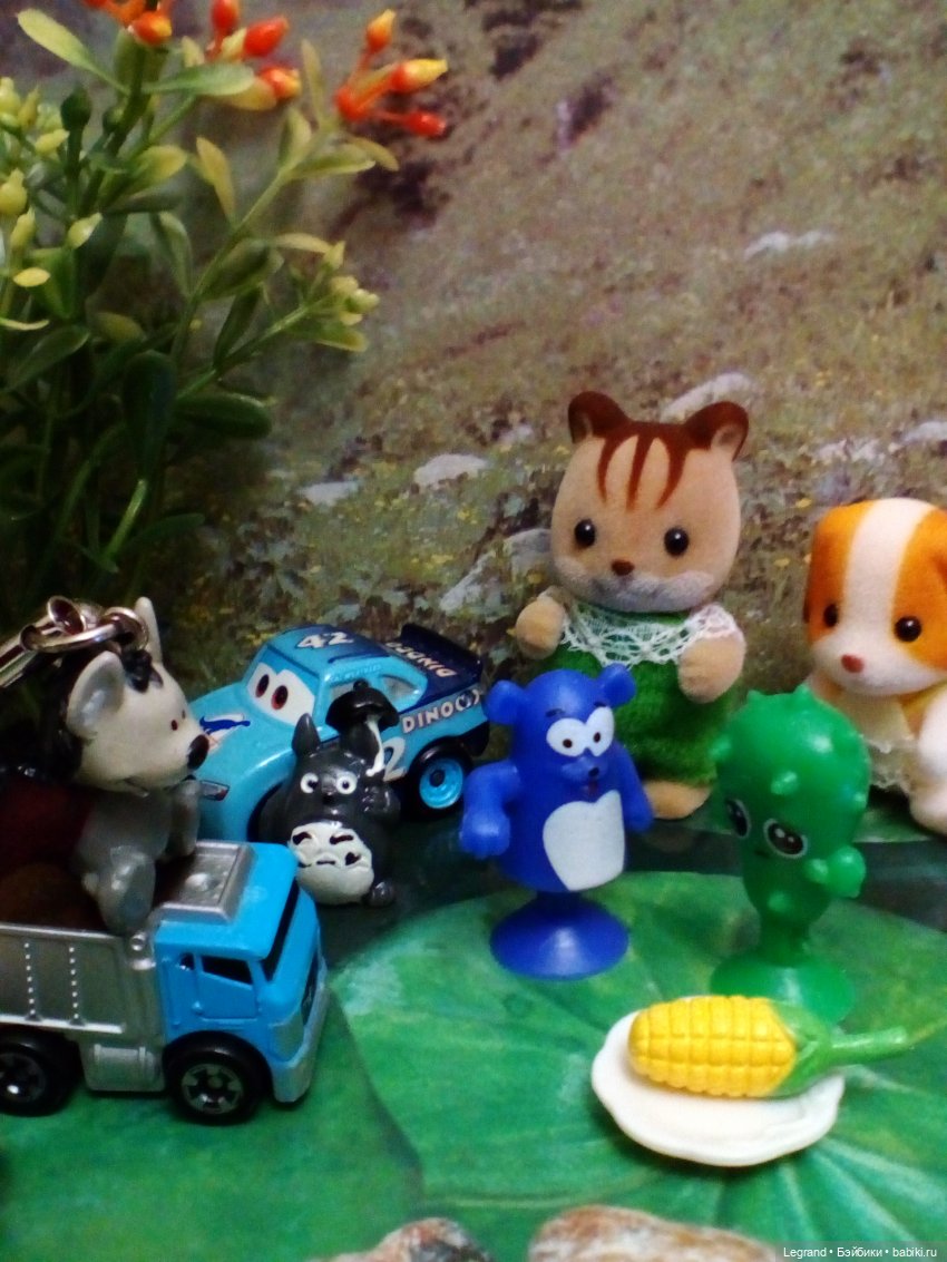 Сказки Соланж. Лесные друзья и чемпионат мира по футболу в Катаре