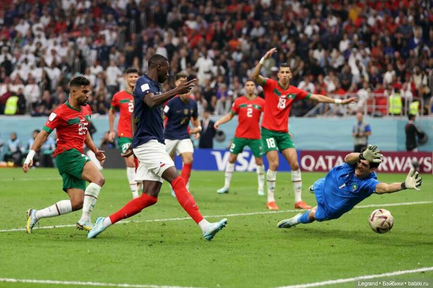 Сказки Соланж. Лесные друзья в Катаре. Доха и Эль-Хаур