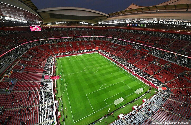 Сказки Соланж. Лесные друзья в Катаре. Доха и Эль-Хаур