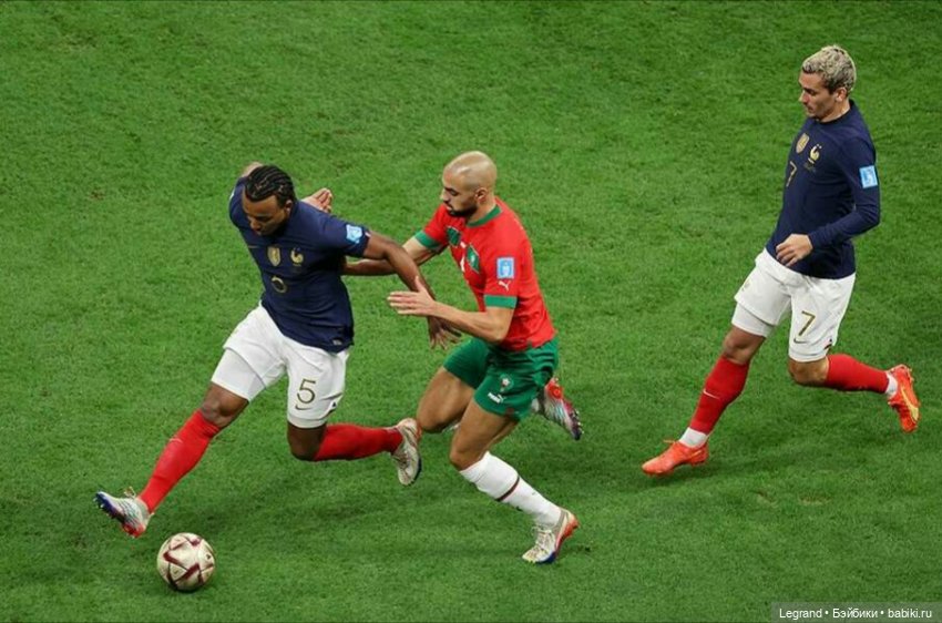 Сказки Соланж. Лесные друзья в Катаре. Доха и Эль-Хаур