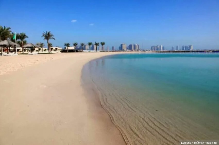 Сказки Соланж. Лесные друзья в Катаре. Пляж. Кактус: романтическое знакомство