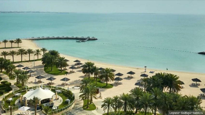 Сказки Соланж. Лесные друзья в Катаре. Пляж. Кактус: романтическое знакомство (фото 2)