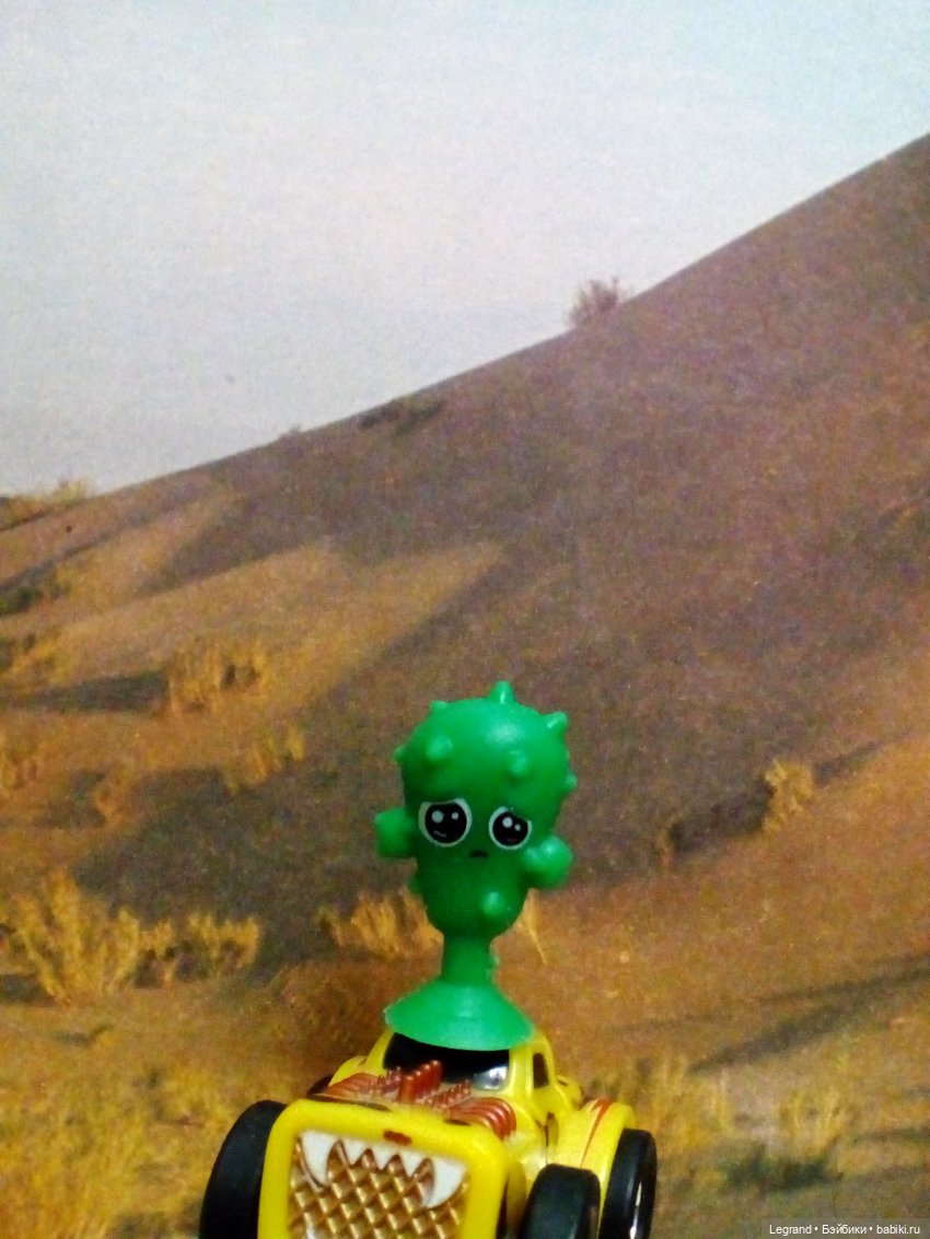 Сказки Соланж. Лесные друзья в Катаре. Доха: восточный базар и другие достопримечательности