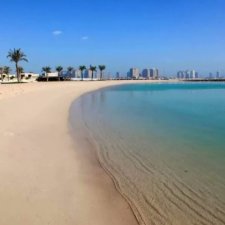 Сказки Соланж. Лесные друзья в Катаре. Пляж. Кактус: романтическое знакомство